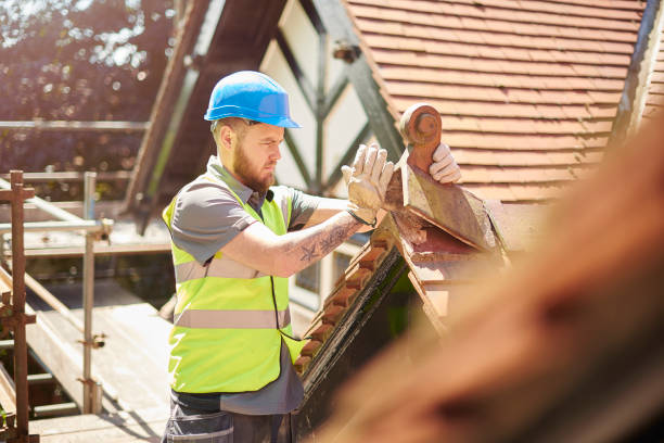 Roof Gutter Cleaning in Reidville, SC